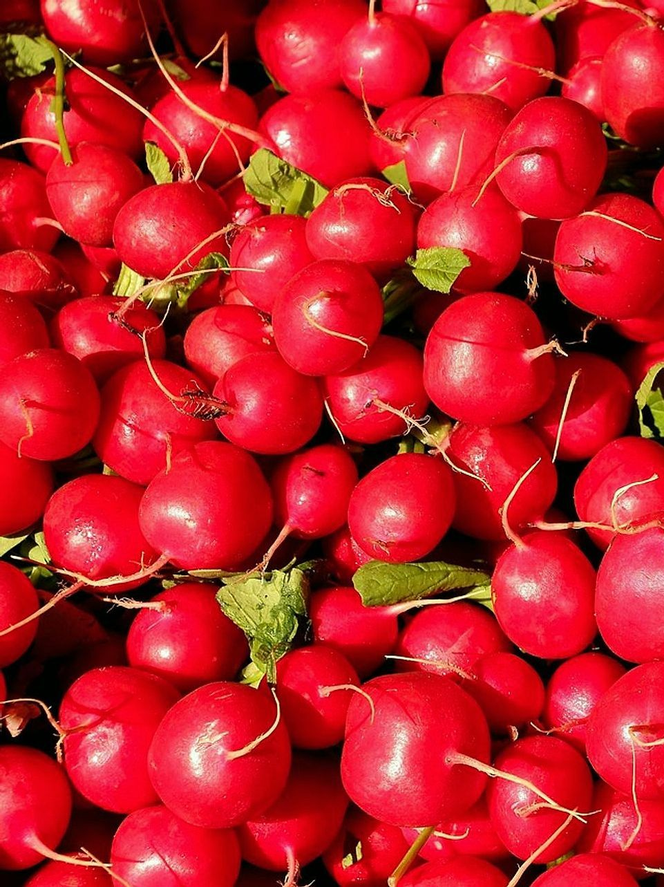 O que nossos clientes mais procuram — verduras e frutas que saem da terra até sua cozinha.
